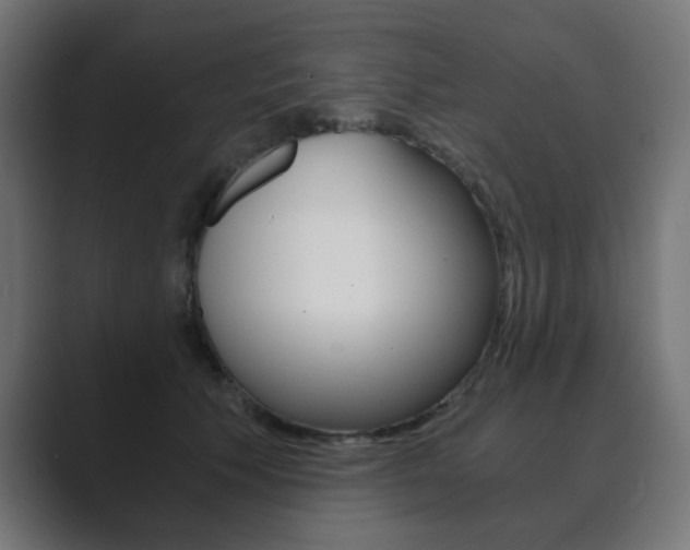 X0000089850609200706281022
