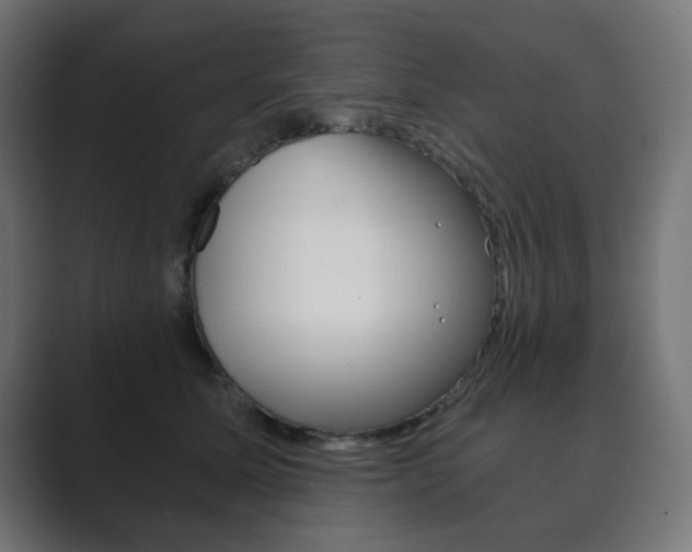X0000089850611200706281022