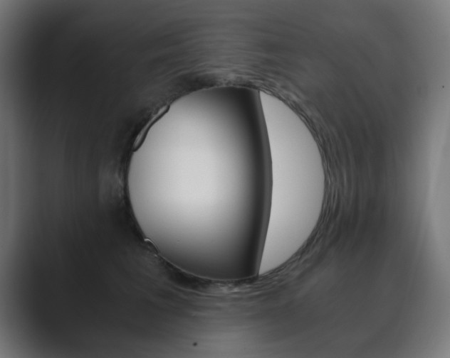 X0000089850613200706281022