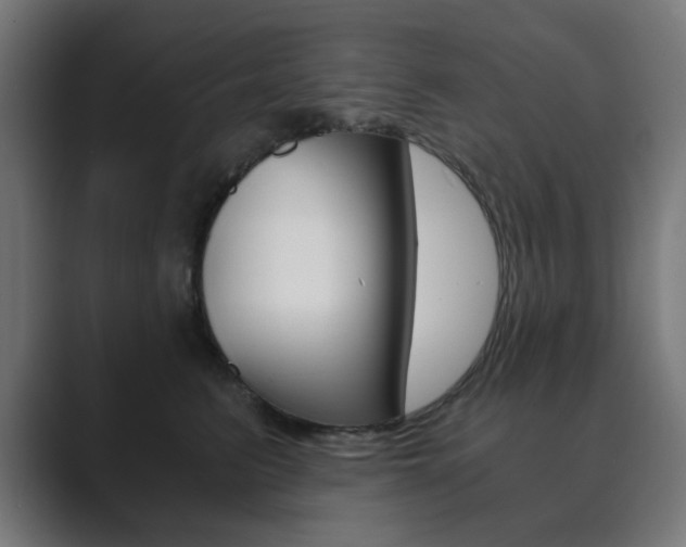 X0000089850615200706281022