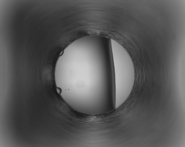 X0000089850616200706281022