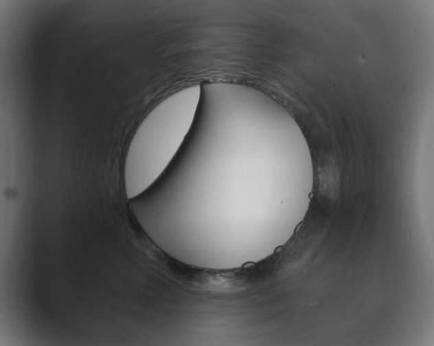 X0000089850618200706281022