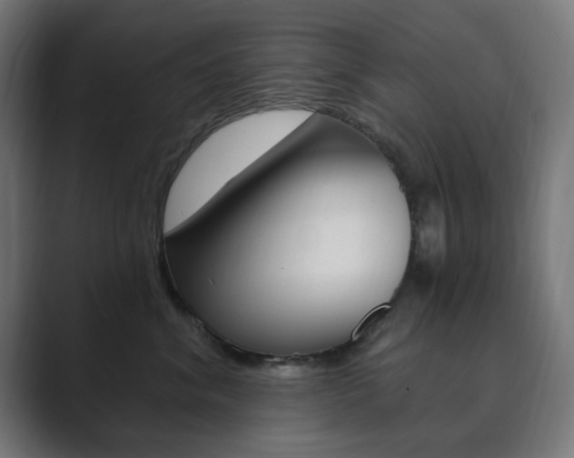 X0000089850620200706281022