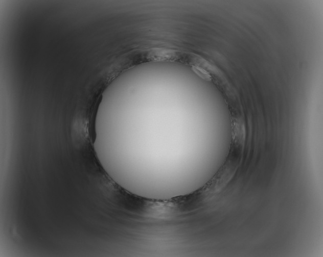 X0000089850621200706281022