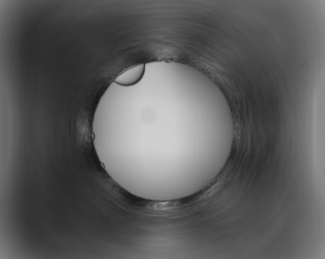 X0000089850622200706281022