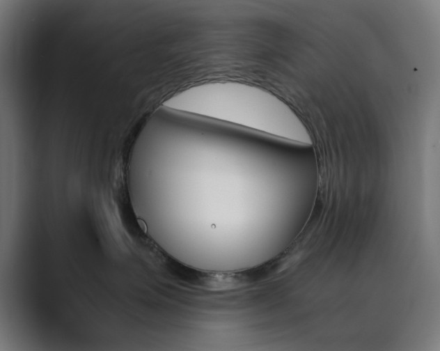 X0000089850623200706281022
