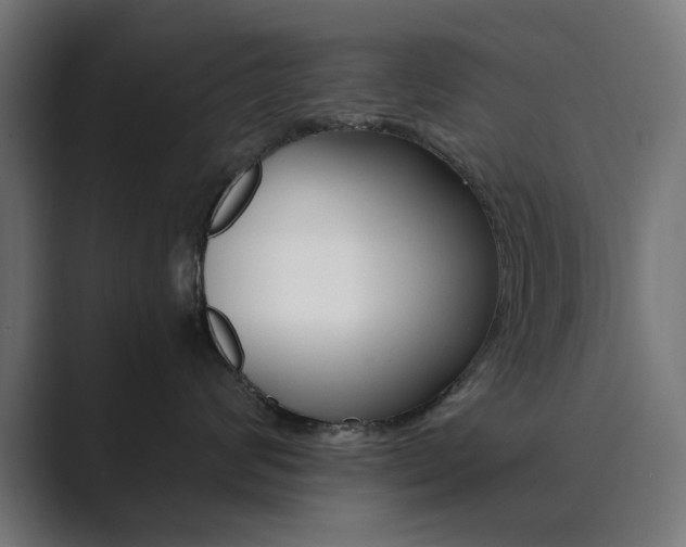 X0000089850624200706281022