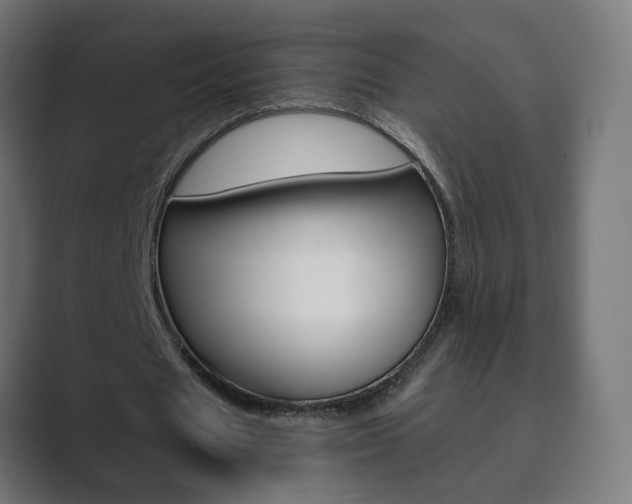 X0000089850625200706281021