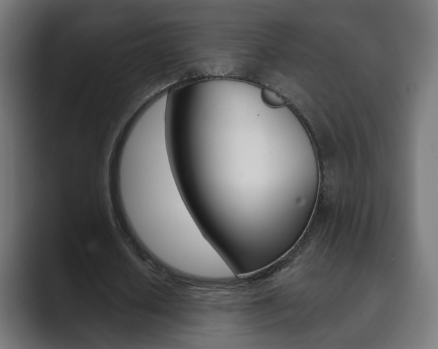 X0000089850626200706281021