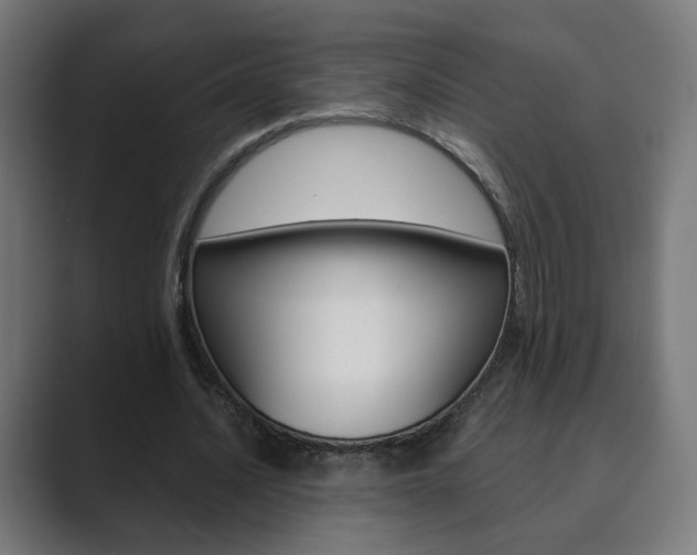 X0000089850628200706281021