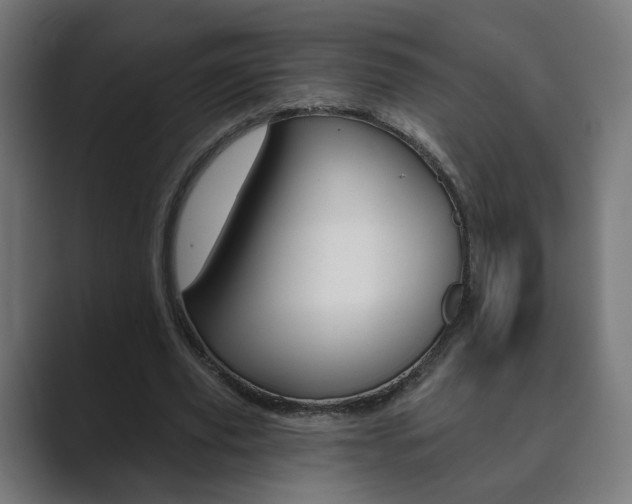 X0000089850629200706281021