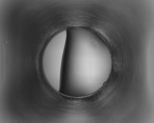 X0000089850631200706281021