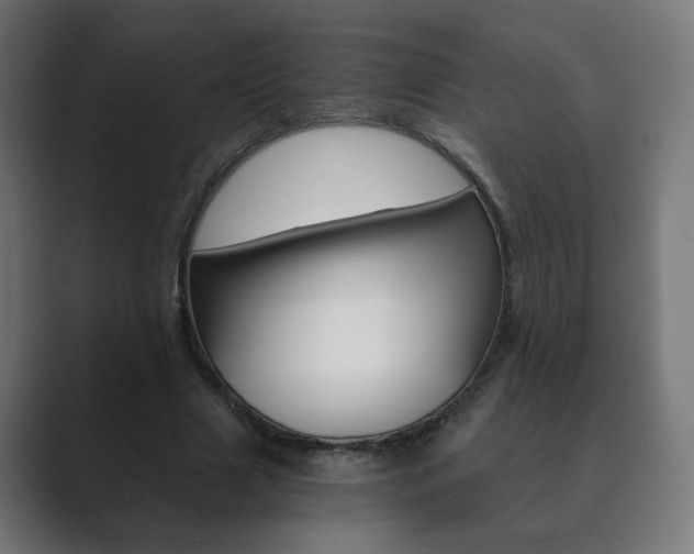 X0000089850633200706281021