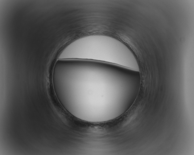 X0000089850634200706281021