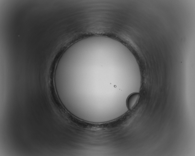 X0000089850635200706281021