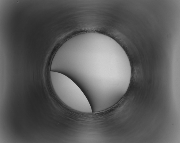 X0000089850636200706281021