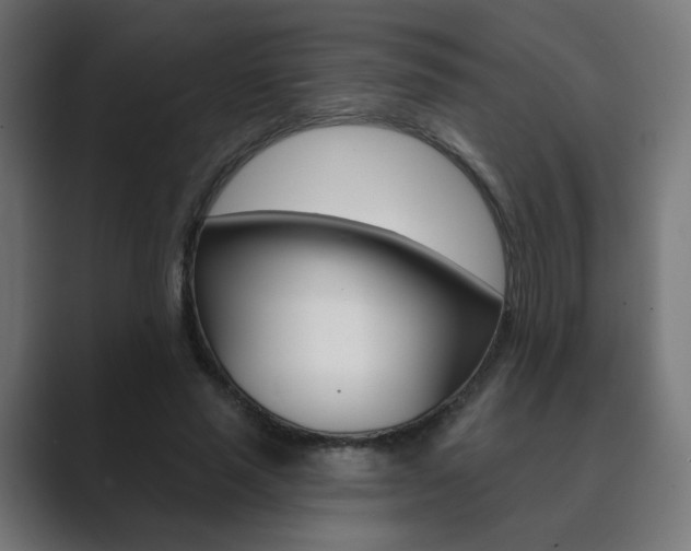 X0000089850637200706281021