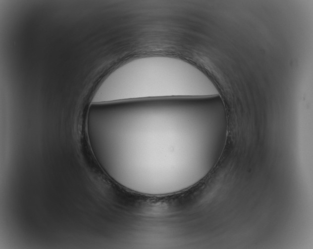 X0000089850640200706281021