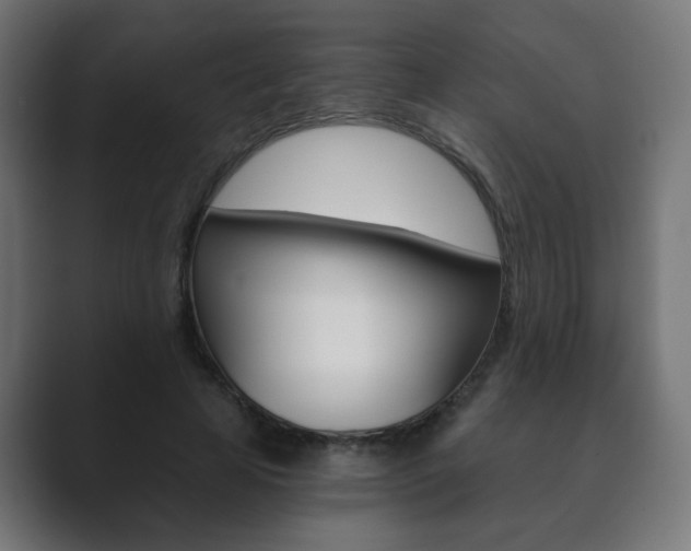 X0000089850641200706281021