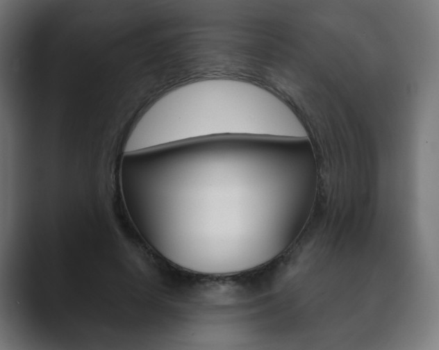 X0000089850642200706281021