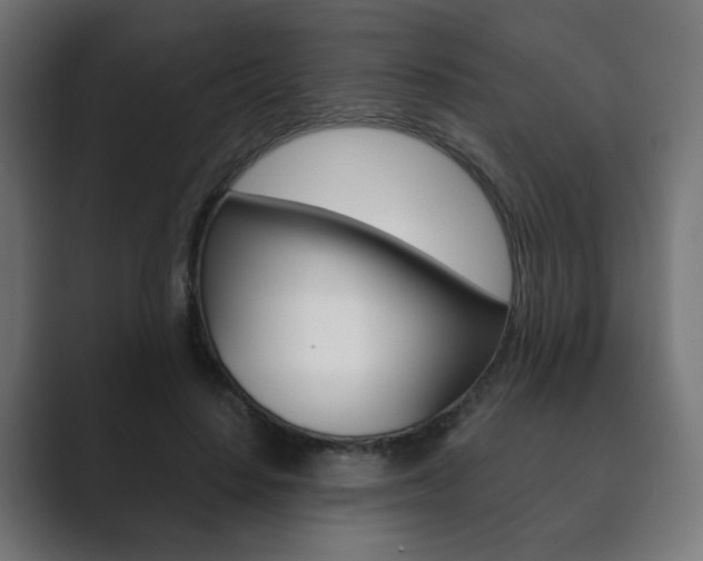 X0000089850644200706281021