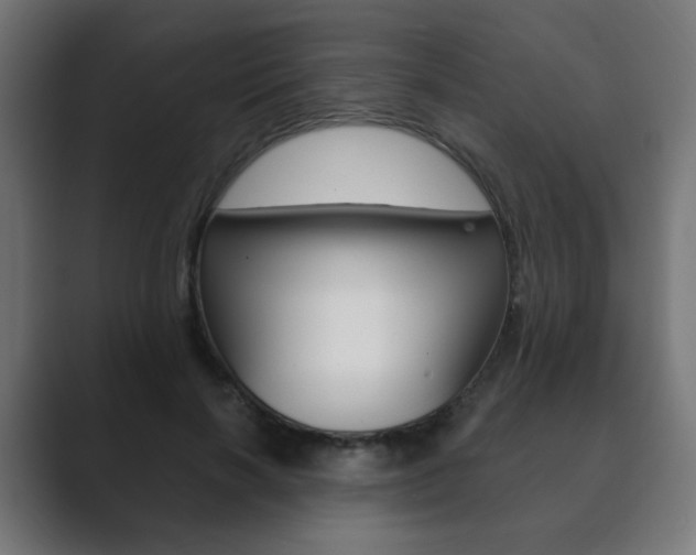 X0000089850646200706281021