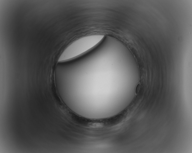 X0000089850649200706281021
