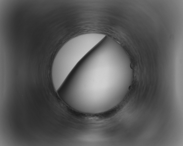 X0000089850650200706281021