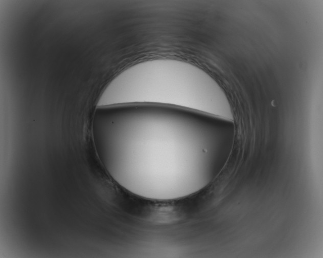 X0000089850651200706281021