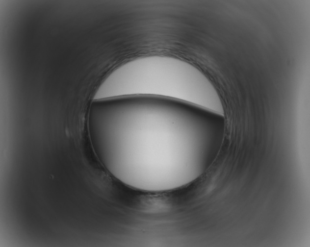 X0000089850652200706281021