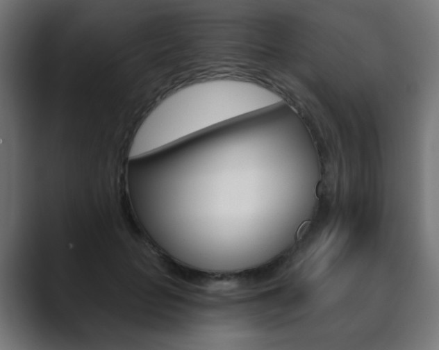 X0000089850653200706281021