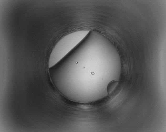 X0000089850654200706281021