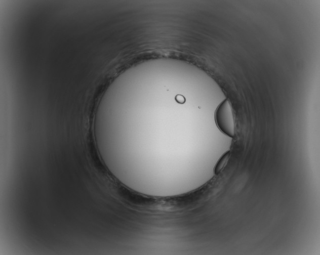 X0000089850656200706281022