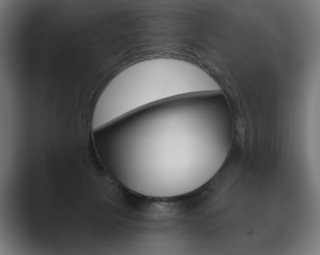 X0000089850657200706281022