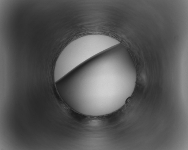 X0000089850658200706281022