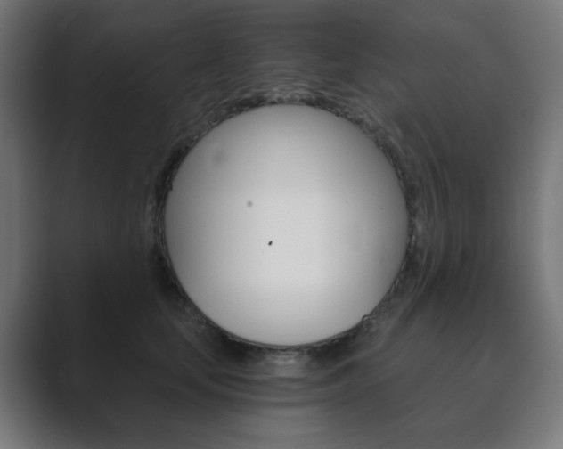 X0000089850659200706281022