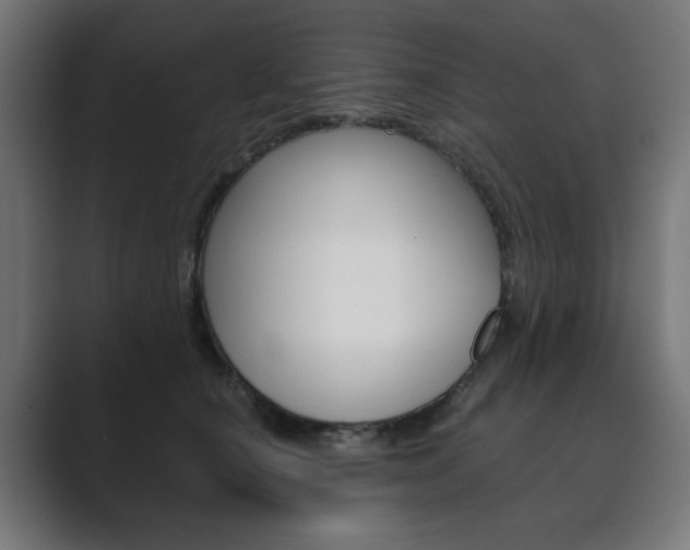 X0000089850660200706281022