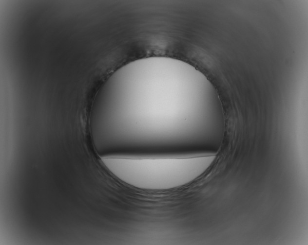 X0000089850661200706281022