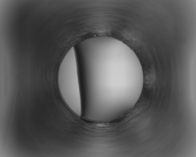 X0000089850662200706281022