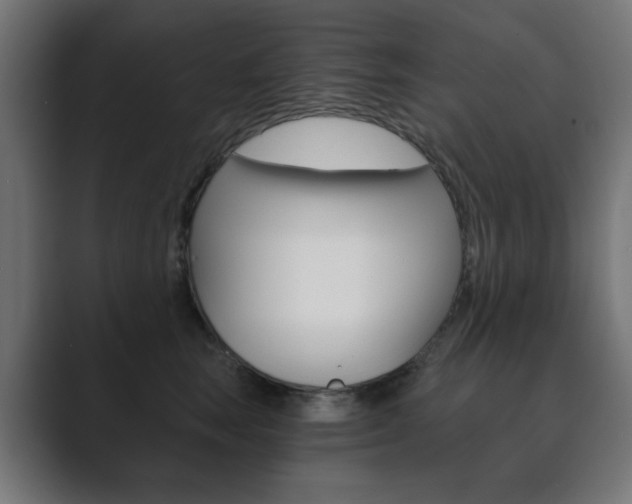 X0000089850663200706281022