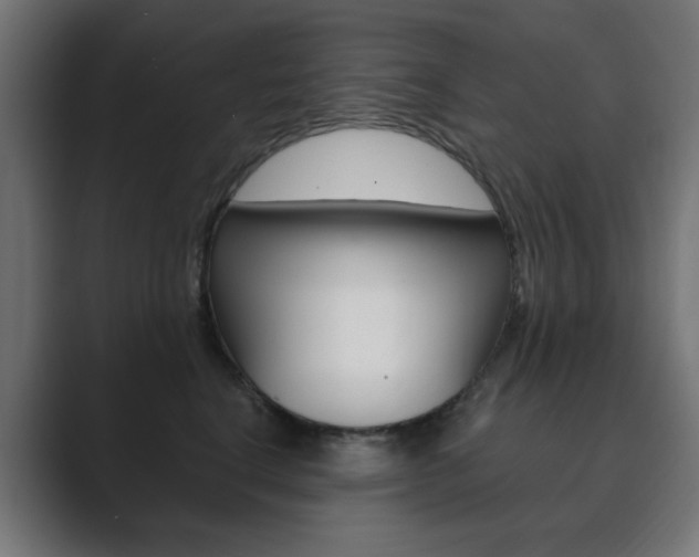 X0000089850664200706281022