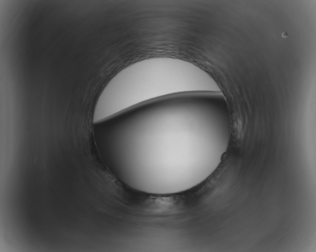X0000089850665200706281022