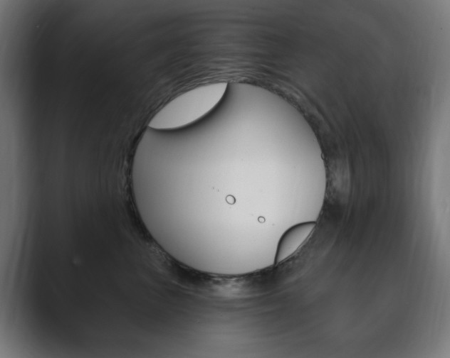 X0000089850667200706281022