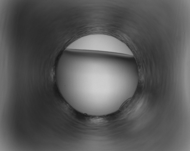 X0000089850669200706281022