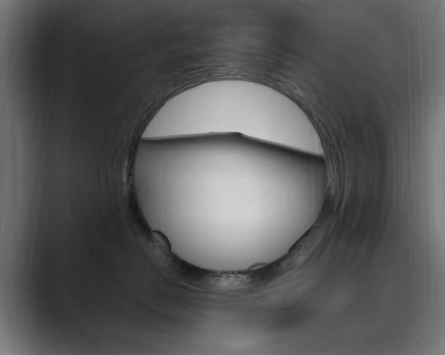 X0000089850670200706281022