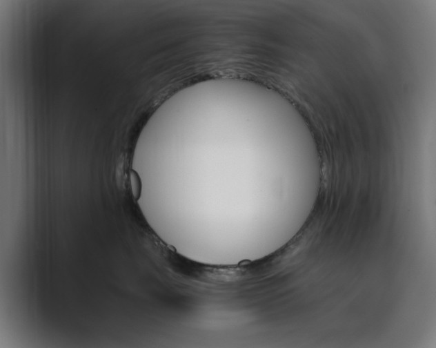 X0000089850671200706281022