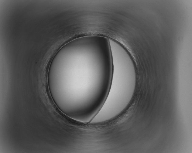 X0000089850673200706281021