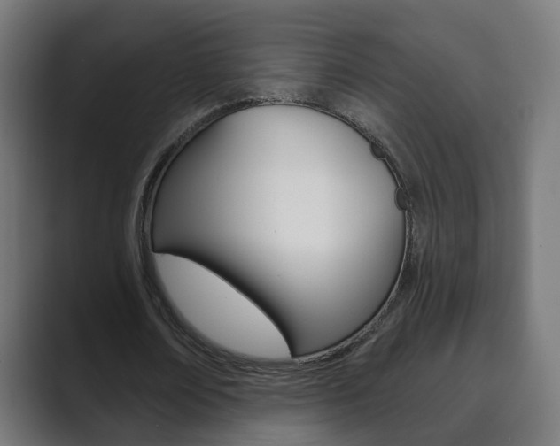 X0000089850674200706281021
