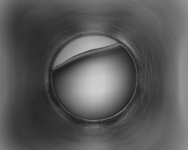 X0000089850677200706281021