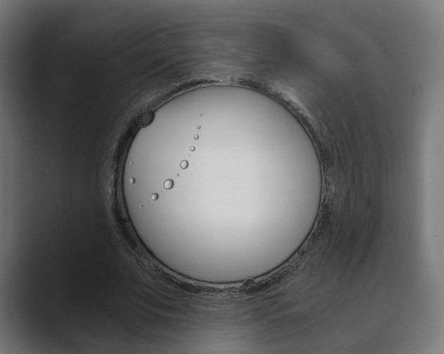 X0000089850679200706281021